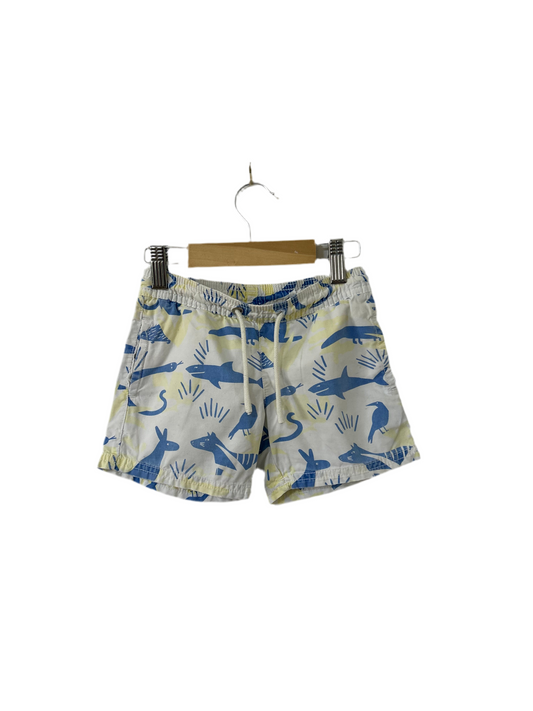 Seed Heritage - Boardies (5)