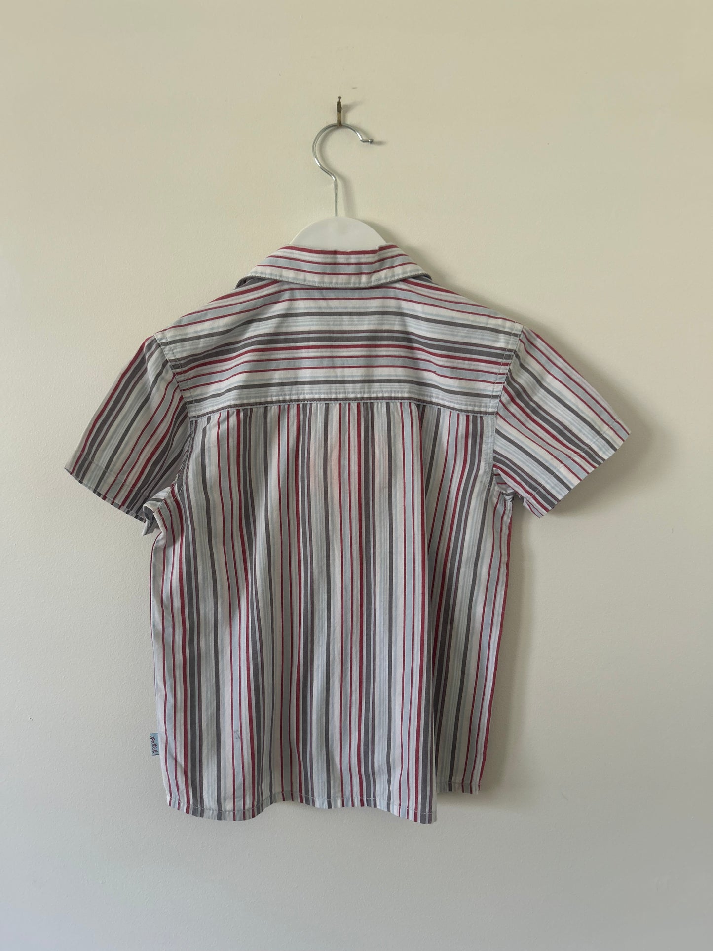 Pumpkin Patch - Stripe Shirt (4)