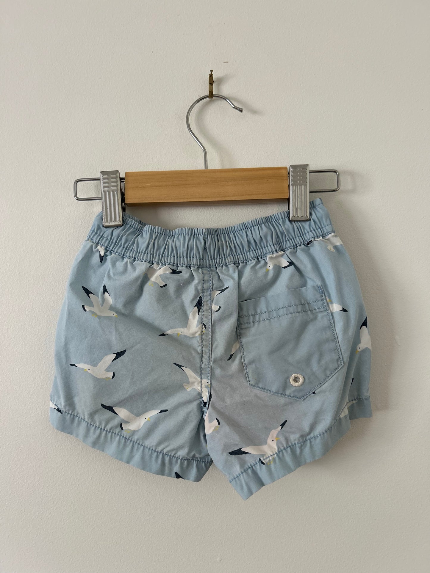 Country Road - Sea Eagle Togs (6-12M)